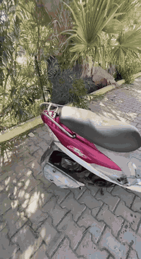 ماكس منغولي • جديدة • كفالة عامة