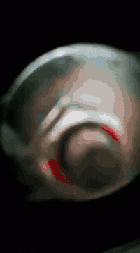 السلام عليكم ستوته 2007 محدثه 24 تعمير جديد اوراق ضايعه اكفلك سرقه وعشائر ستوته مال جناي مكان بغداد الشعله*********** بي واتساب💭
