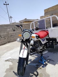 ستوته • ترايك • مديل ١١