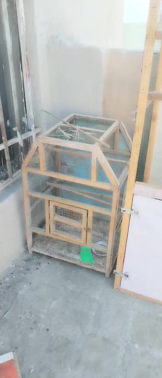 متاح/بابل/الحمزه الغربي/***********
