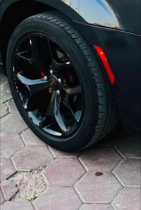 ويل عنكبوت • مراوس نجمة • الدوره