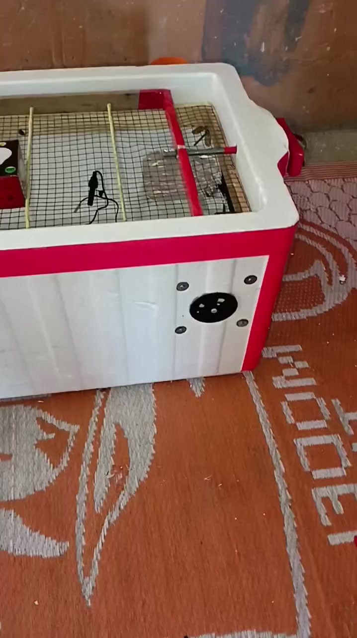 يا الله متوفر فقاسه تقليب خارجي مثل ماموضح بلفديو تشيل60 بيضه تريد تقليب يدوي تشيل 100 بيضه سعر الفقاسه65 #شرط ماتفقس ترجع  وهاي تجربه الزبائن


**إذا كنت صاحب هذا الإعلان وتريد حذفه لأي سبب، رجاءا أرسل رسالة إلى الدعم الفني**