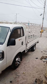 مرواس • فحل ٢٢ • نضيف