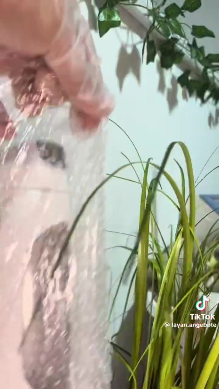 خلاط لون زيتوني السعر 10 الاف


**إذا كنت صاحب هذا الإعلان وتريد حذفه لأي سبب، رجاءا أرسل رسالة إلى الدعم الفني**