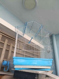 سعره 12الف هذه رقمي 07712054808 أبو دشير شارع الزيتون