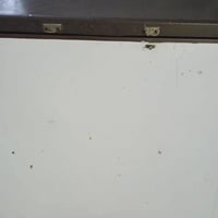 غسالة أوربية • مجمدة حجم كبير