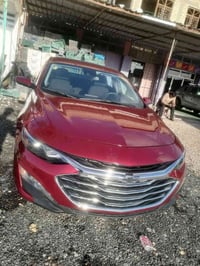 ماليبو • ٢٠٢٥ • بابل المسيب