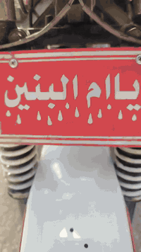 ستوته موديل 19 • كفالة عامه • قضاء سيددخيل