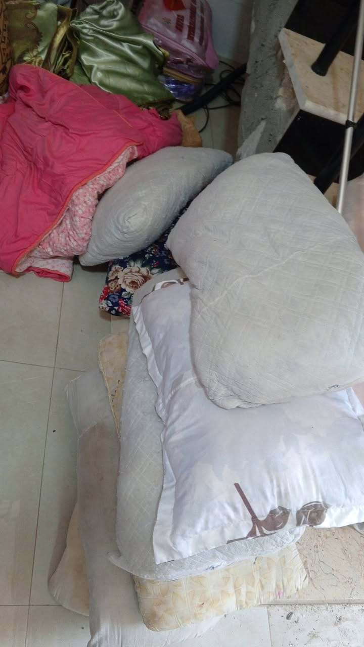 غراض مستعمله اكو همين ديباجات وبطانيات وكاربت وفراش قطن كلهن 150


**إذا كنت صاحب هذا الإعلان وتريد حذفه لأي سبب، رجاءا أرسل رسالة إلى الدعم الفني**