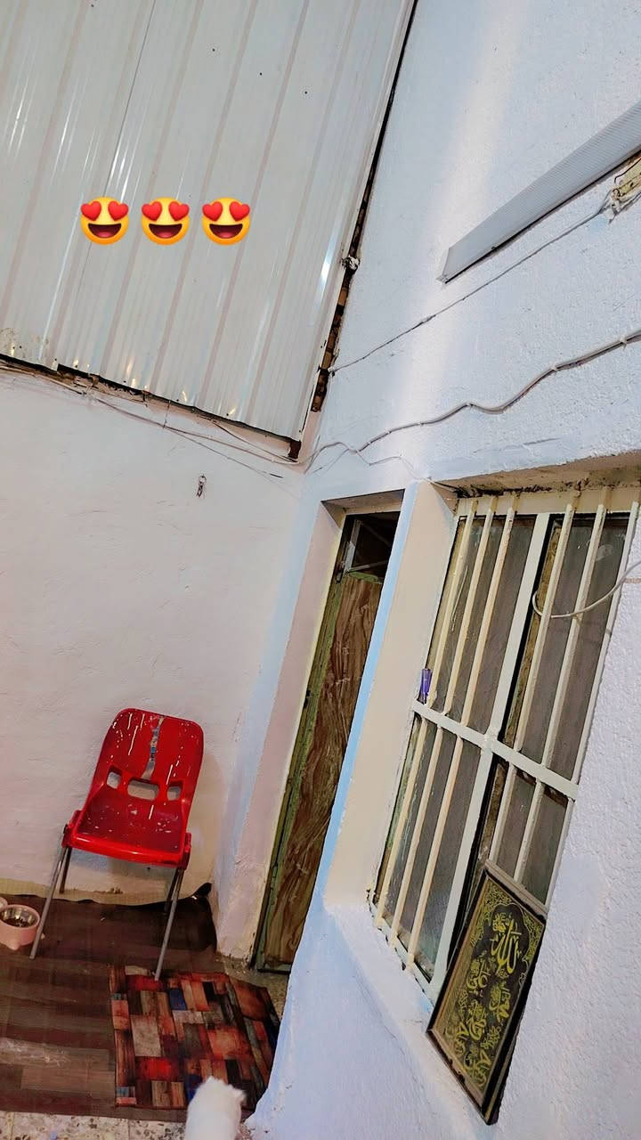 السلام عليكم للبيع نص قطعه خلفيه طابق واحد بقطاع 20 نظيفه جدآ مثل متشوفون وسقفها عالي مجاري كهرباء كلشي جديد الفوك غرفه مخزن مسويها سندويش والبيت مقبط للاستفسار اكثر اتصل ع الرقم ***********
