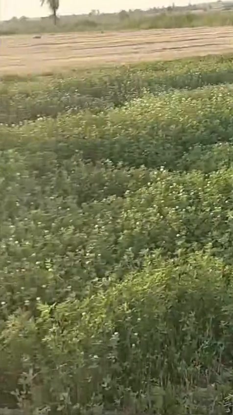 قطعة ارض للبيع 18 فدان🌾
طريق مصر اسيوط الغربى 35 دقيقه من ميدان الرماية 

الأرض ملك مسجل عقد اخضر شهر عقاري بها محول كهرباء خاص بها مياه شرب  المياه رى نيلى بتشرب غمر بها كارت فلاح صالحه لجميع الزراعات والمحاصيل 

ملحوظة: الارض قابلة للتجزئة 

للتواصل ☎️📲

01003735091


**إذا كنت صاحب هذا الإعلان وتريد حذفه لأي سبب، رجاءا أرسل رسالة إلى الدعم الفني**