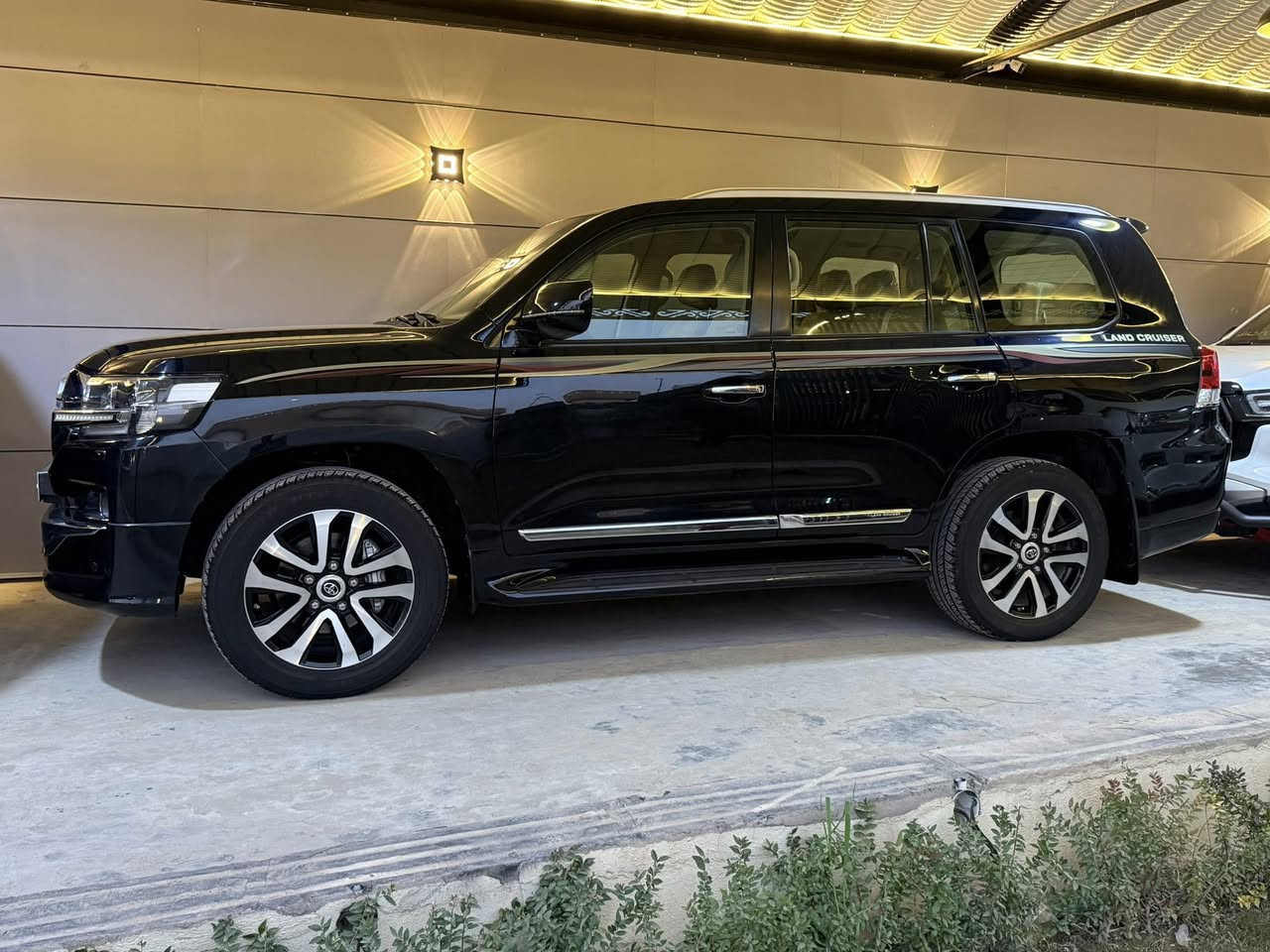 موجو لاندكروز أبيض بريم أصل رقم بغداد ام الدفدي موديل 2018 فول مواصفات سياره جاهزه من كلشي بيها بارد والسورنار موجود سعرها 495

موجود لاندكروز أسود بريم أصل رقم بغداد ام الدفدي موديل 2019 رقم بغداد 6 سلندر فول مواصفات مكفوله وجديده ماشيه 73 الف سعرها 540

الشراي يتصل ويدلل واذا مراوس عادي اراوس حسب القناعه 

مكان بغداد الدوره

***********
***********
***********
***********
