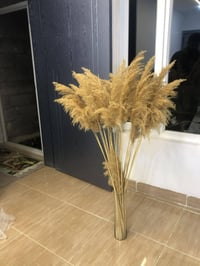 سلێمانی • للبيع • هەردوکی