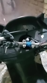 ماجستا • بلادية • رخصة