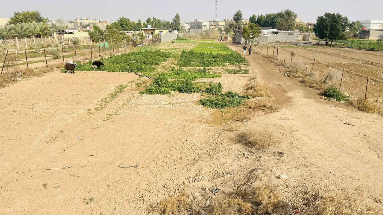 السلام عليكم دونم للبيع مكان العبيدي للاستفسار اكثر اتصل ع الرقم   ‭0773 393 2225‬ ما متواجد ع الفيس وتساب موجود .
