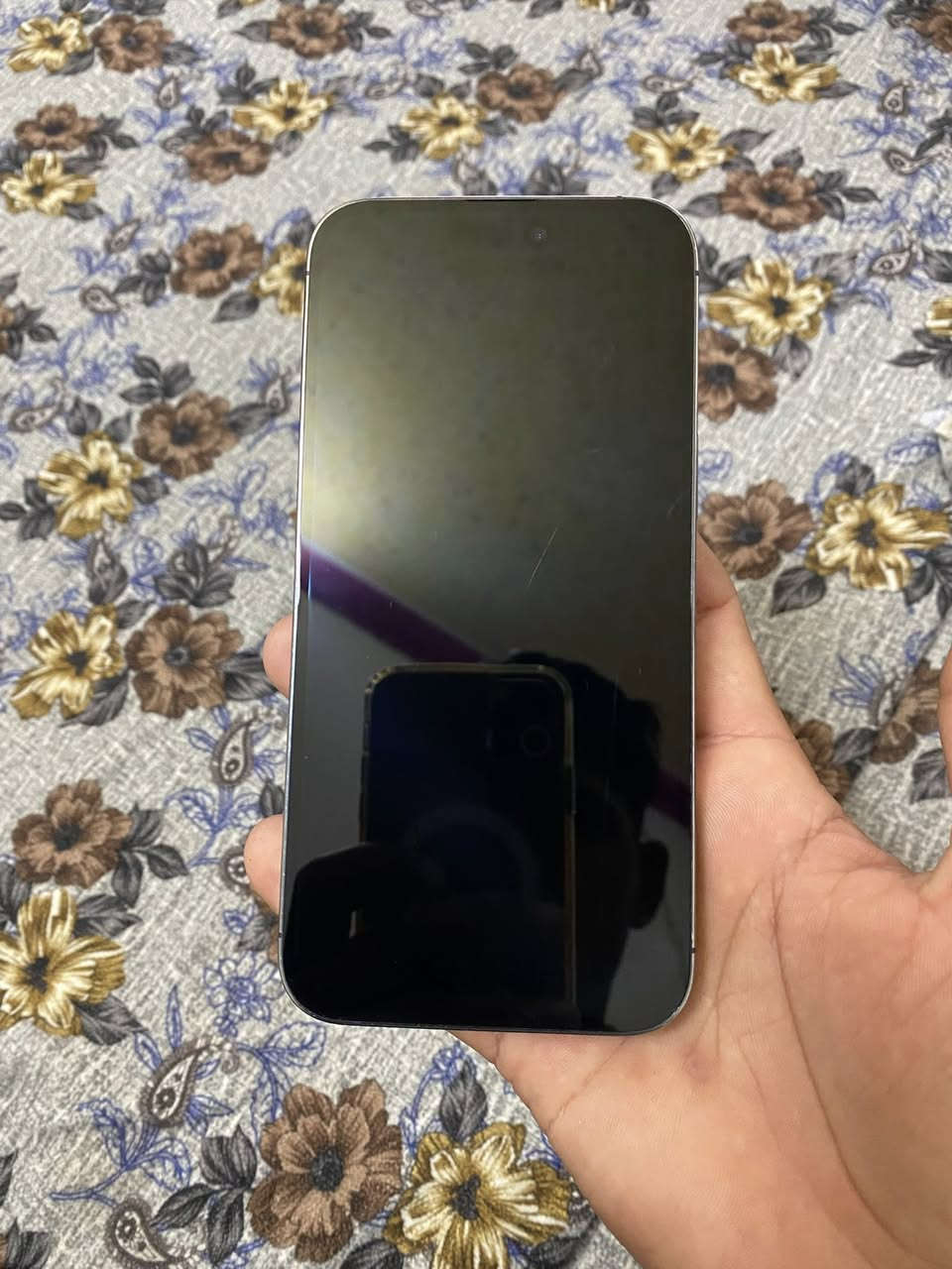 آݪسـٰٖـ๋͜ــًـًًـًٍـًٍـــݪآم عݪيڪم
متاح ايفون ١٤برو ماكس 
بطاريه ٨٦بلادي 
ذاكره ٢٥٦
دبل سيم كارت 
نموذج M 
ويا كارتون مطابق 
ممفتوح لجهاز 
مبدل بس ضهر اصلي ممبين
نضافه ١٠٠٪؜ بس شويه الشواصي 
السعر ٧٥٠وبي مجال حك لجيه 
مكان بابل شارع ٨٠قرب الساده ابو خطه
*********** واتساب او اتصال
