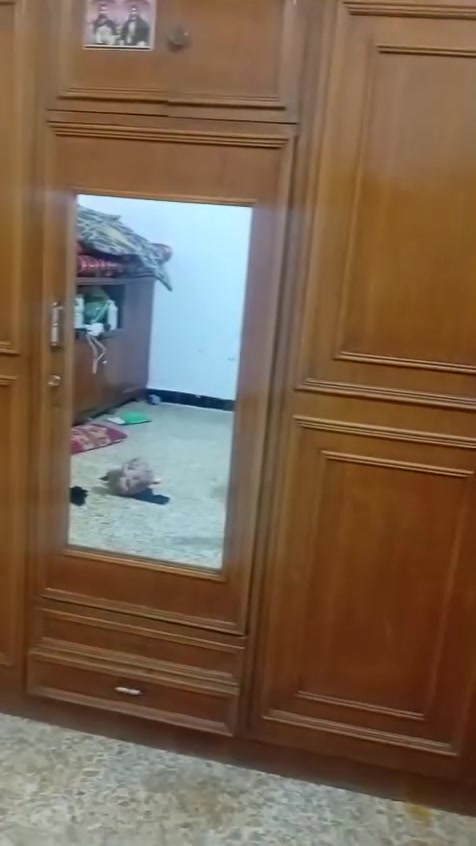 ب 175هوه والزاويه


**إذا كنت صاحب هذا الإعلان وتريد حذفه لأي سبب، رجاءا أرسل رسالة إلى الدعم الفني**