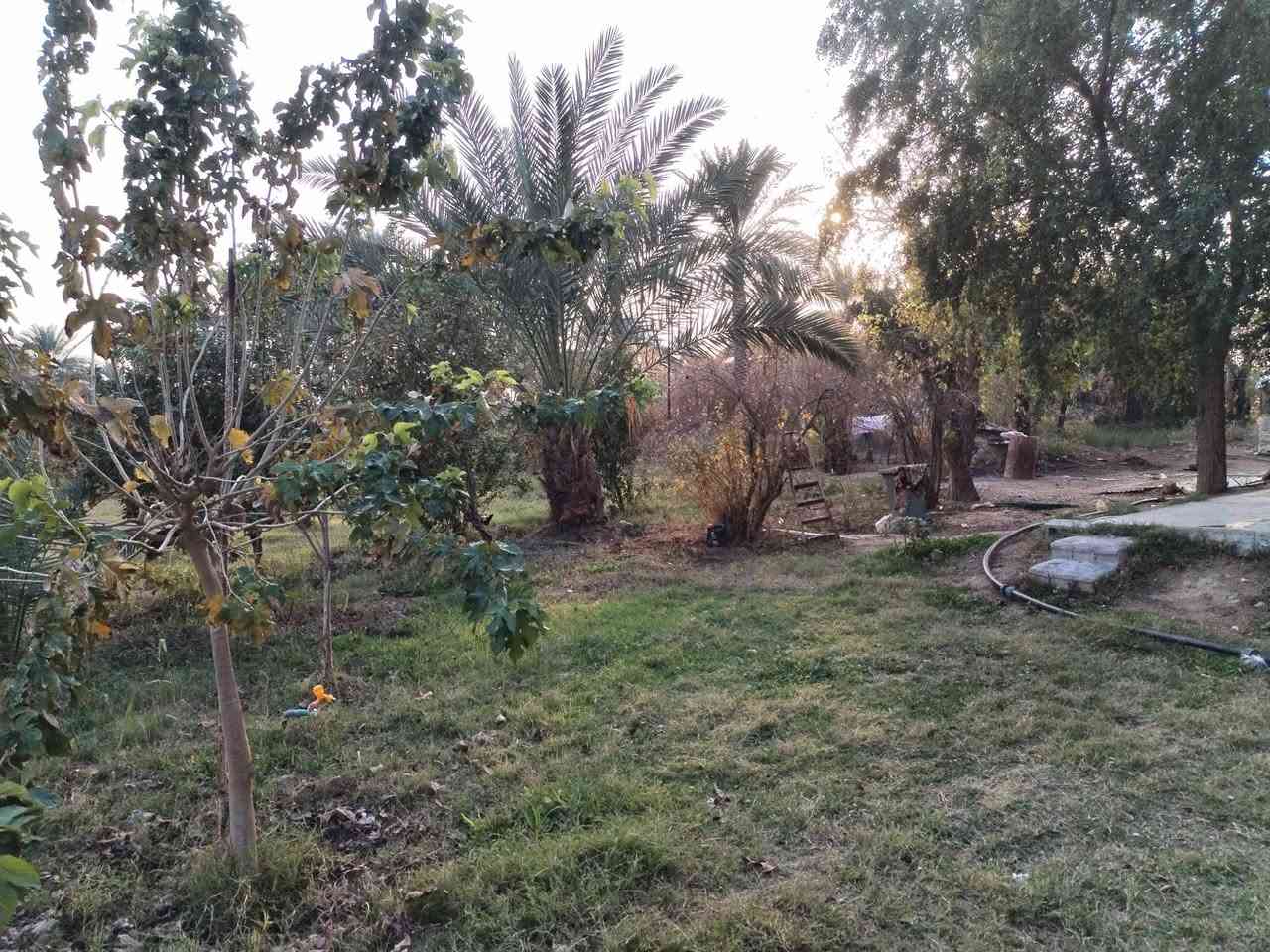 السلام عليكم للبيع ٣ دونم حي الزهراء يم معمل الحليب عل مشروع صادات كافة الخدمات موجوده ماي كهرابه زراعي سند ٣٥ السعر ٣٠٠ بيهن مجال اللاستفسار اتصال *********** مراجعه مكتب النوارس شارع مستشفى الامام علي ***********
