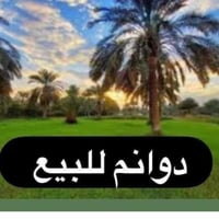 المدائن سلمان باك • ٣ دونم • طابو ملك صرف