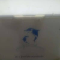 مجمدة • ما مصلّحة • حجم وسط