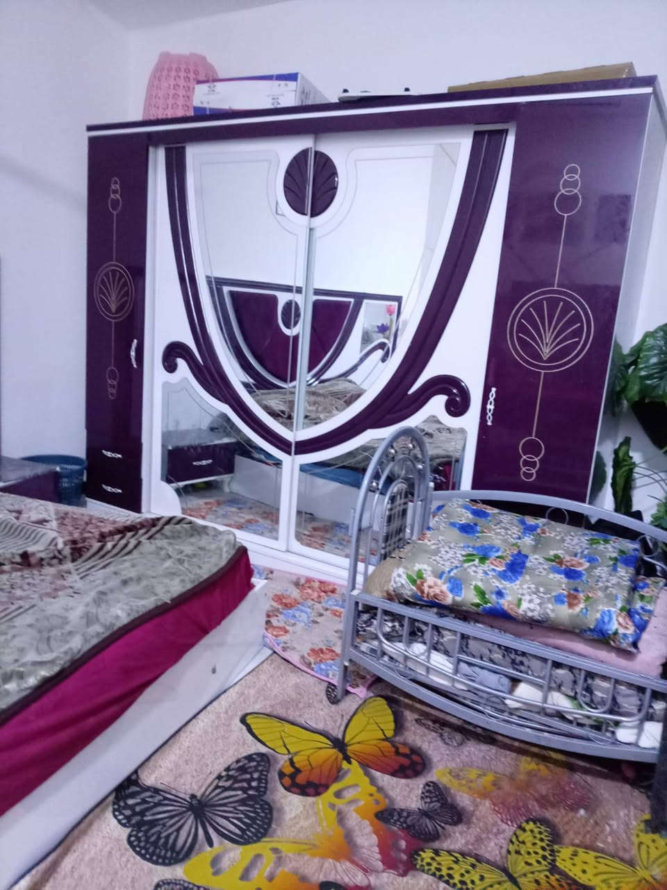 غرفه لبيع مكان بابل سعر 600


**إذا كنت صاحب هذا الإعلان وتريد حذفه لأي سبب، رجاءا أرسل رسالة إلى الدعم الفني**