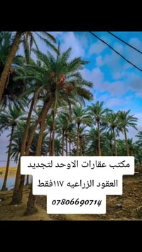 مكتب عقارات الاوحد لتجديد العقود ١١٧ فقط للاستفسار 07806690714