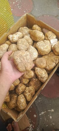 زبيدي • صلاح الدين تكريت • توصيل