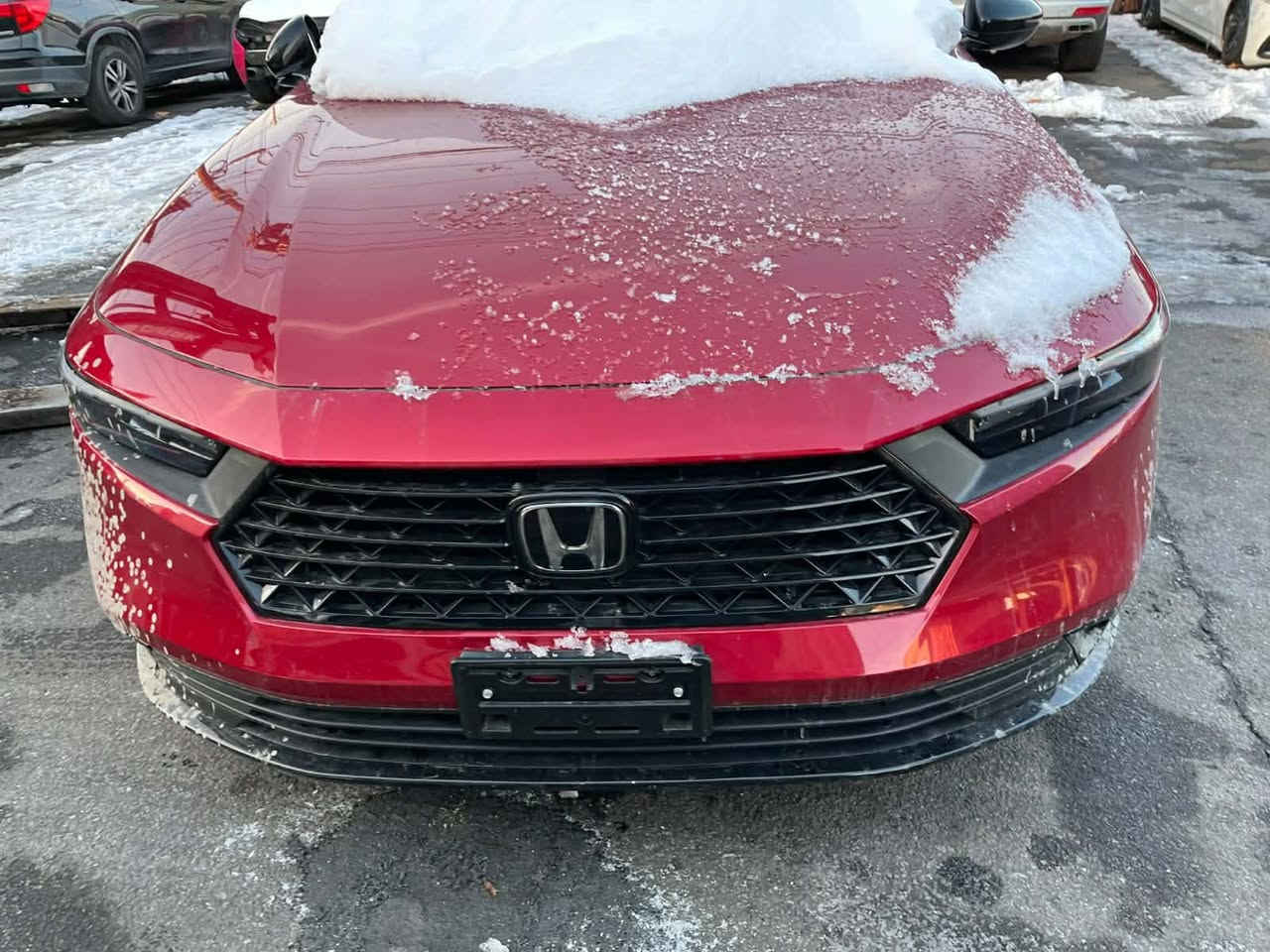 السلام عليكم هوندا اكورد موديل 2025 سبورتL
السيارة حاليا بعقبه  يومين وتنزل حرة وصلت ابيعلك حره او واصل بغداد او تحولها ع اربيل بكيفك السيارة جديدة وبدون ايرباك الكات ع ويل كب ماشية 5الاف بدون دواخل السعر 145 حرة ***********
