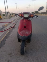 بوتين • نضيف • نشط