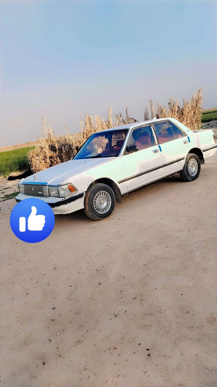 سلام عليكم سيدانه للبيع رقم نكليزي مثنى مكان السماوه الخضر السعر 40 وبيه مجال ***********
