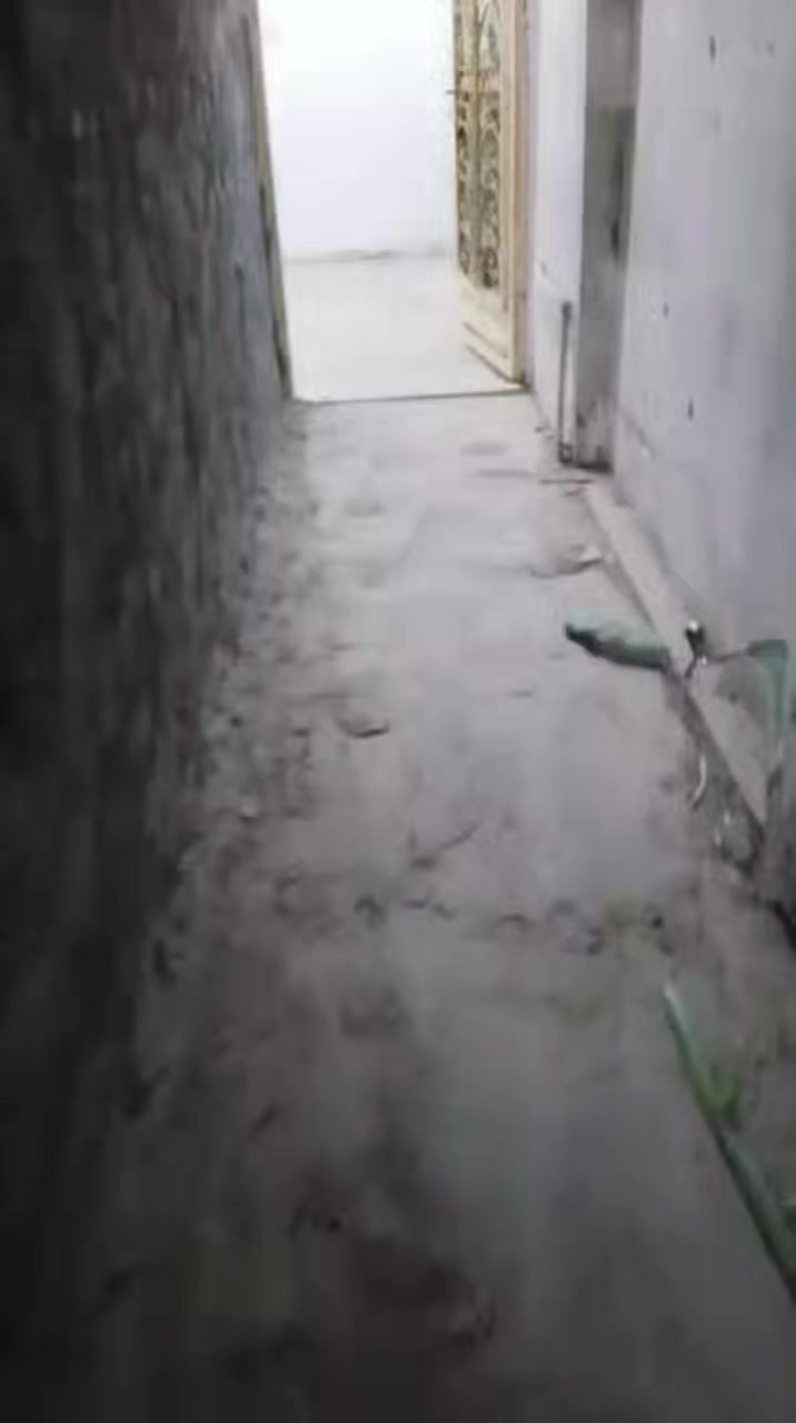 بيت 100متر حي وفاء للايجار غرفه وصاله ومطبخ وصحيات 225 الف ***********
