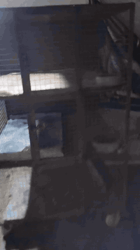 نجف • حديد • ٥٠م٢