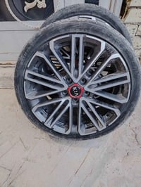 تخم ويل كب ١٨ فورتي GT اصلي أمريكي مكفول بدون عواج ولا فطر ولا تصليح ن...