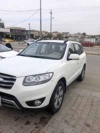 سنتافي • ٢٠١٢ • بدون صبغ