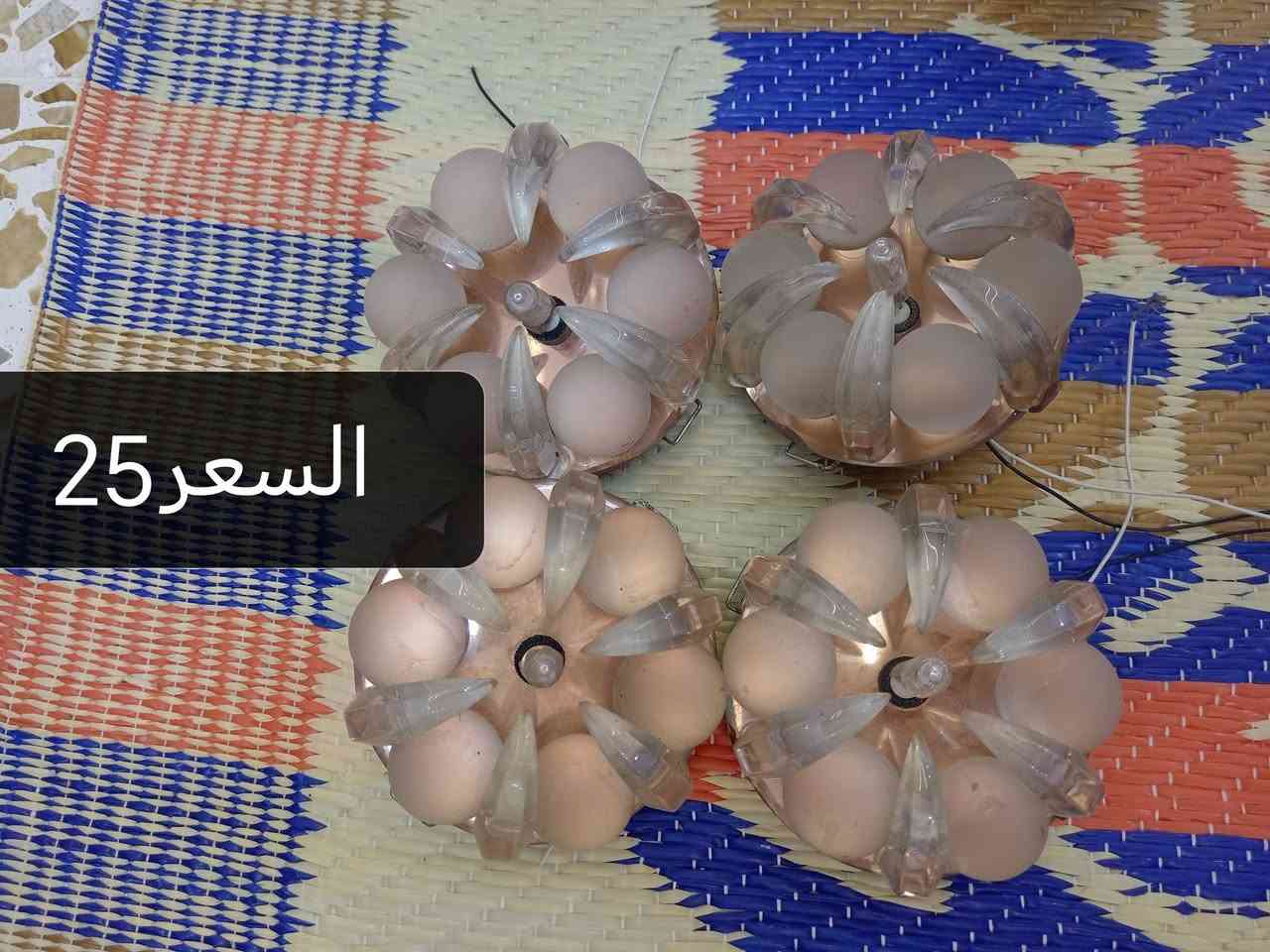 بانكات رامكو اصليات للبيع عدد3
وغراض كهربائيه للبيع.. الاسعار موجوده داخل كل صوره للاستفسار الاتصال على الرقم *********** او مراسلة الصفحه
