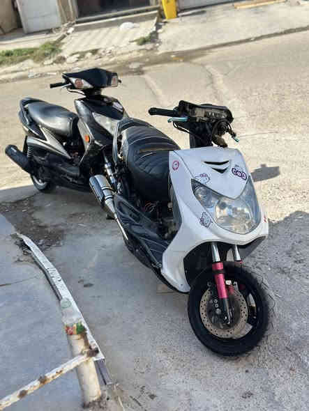 سلام عليكم🤍.
للبيع سكنس فحل ياباني ستاند حساس قبق نفخ 
الدراجة بوشة 59 وبيها كور رياضي وصدر GGMS كرزي وبيها صالنصة بوري عدل ويدات سمائي وكشن رياضي وكلجات رياضي الخلفي WF والأمامي هم رياضي كرزي ودبلات خلفية وجويتر 32 كفرات كاملة نقصها بس ترايش الدراجة شلعة ومعدل  مكاني حي الجامعة 
رقمي ***********♥️.
