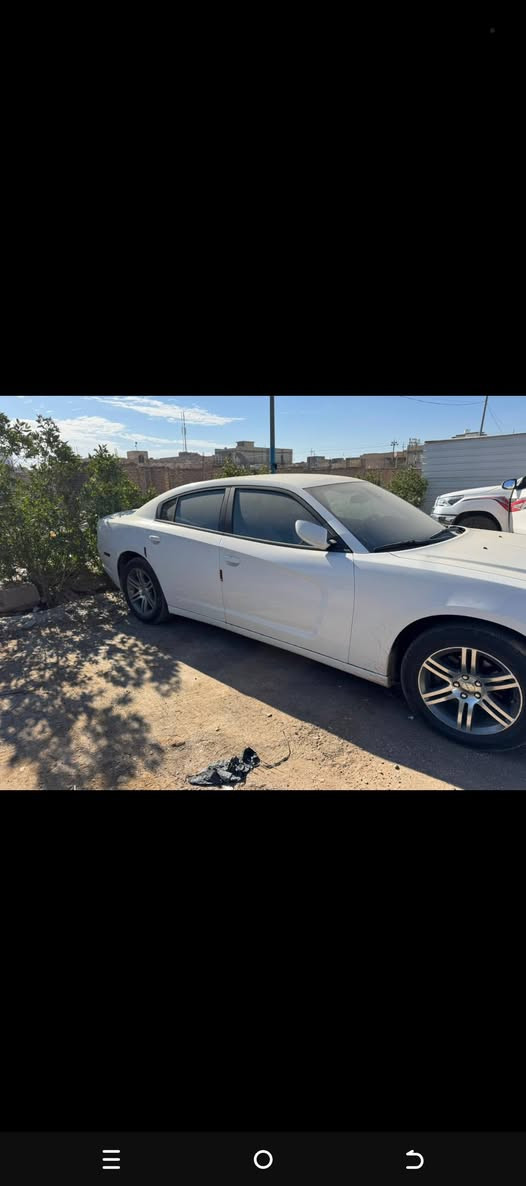 سلام عليكم ورحمة موديل ١٤ مكفول غير موجد بل سونار مكينه ٣٦٠٠ كير عصه السعر ١٦٨ اوبهه مجال /*********** ذي قار
