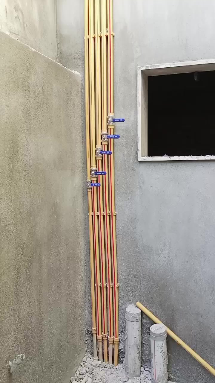 ***********سيد تأسيس صحيات
