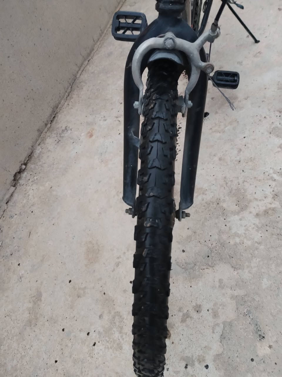 غراض مستعمله #للبيع
سعر البايسكل الأسود ٦٥ وبي مجال التيات جديد 

 القفص يرهم للطيور الكناري او البلابل سعر ٢٠ وبي مجال
للاستفسار مراسله الصفحه او الاتصال على الرقم ***********
