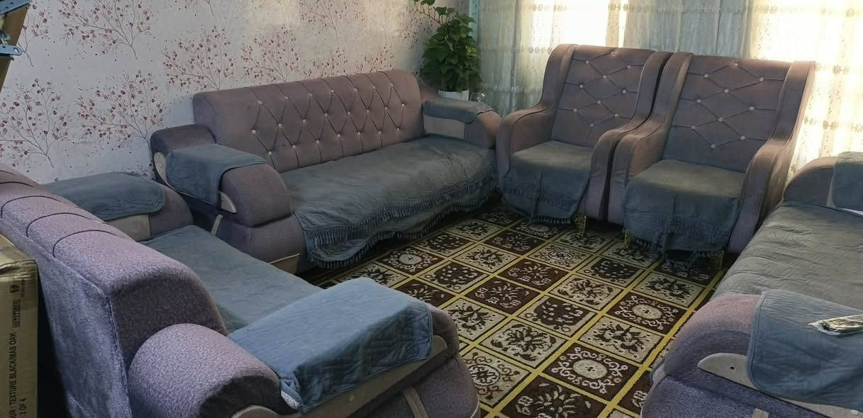 مرحبا
تخم تركي قلاب للبيع بي ضرر بسيط باليدة بي مجال للشراي مكانة بسماية  للاستفسار الاتصال على الرقم ***********
