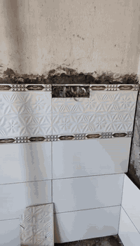 خلفه سراميك جداري ارضي في كربلاء متفرق حالين‏ العمل عله اليزر والعمل عله المتر واليوميه
‪0775 901 6171‬‏بيه واتسب
