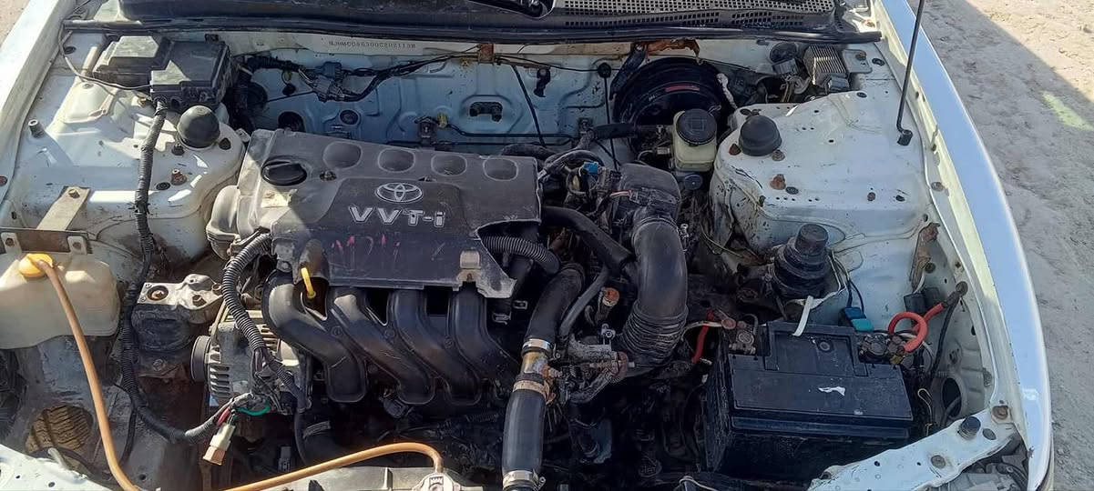 للبيع هوندا اكورد موديل 1996 محرك محور 1600 كير خير من الله رقم بغداد سنويه ل29 حداديه بيها ضعف كهربائيات كلها شغاله السعر 32 وبيها مجال الاتصال ***********
