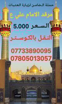 النجف الاشرف • زيارة الامام علي • ٢٤-٢٥/١١