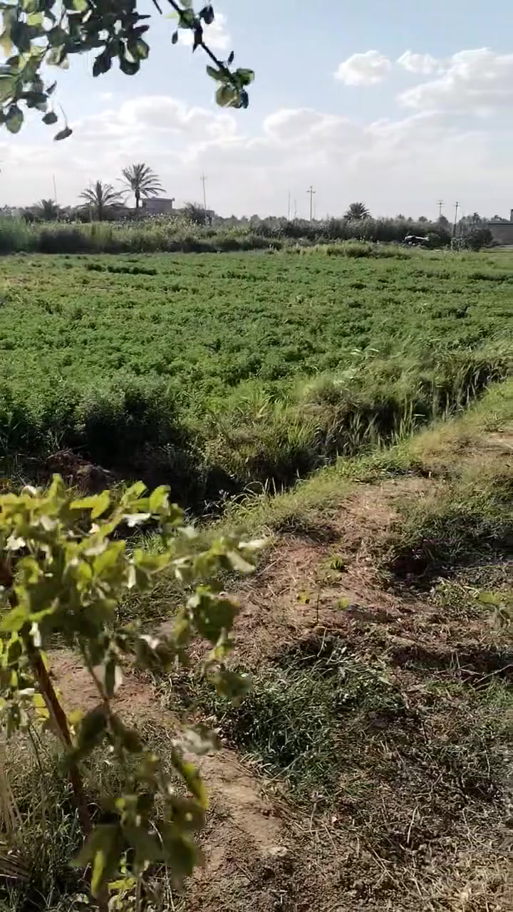 البيع اكثر من دونم ونص  في منطق ابو سديره الولى قرب جسر الصقلاوية تبعد عن التبليط 50 متر ماء كهرباء ماء سقي  كافت الخدمات الرض تصلح السكن والزراعه نوع العقار طابو زراعي سند 25 شابندر 
السعر 45 وبيها مجال 
اتصال عن صاحب 
*********** 
***********
