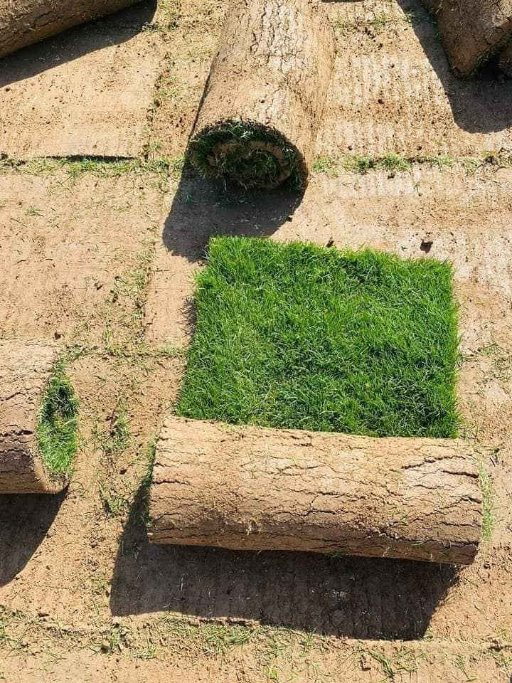 تخفضيات لفترة محدودة (بأسعار مناسبه وتنافسيه ) ✨❤️.                                       

انتاج خاص بمزارعنا.
حيث الجودة والسعر المناسب 

☘ثيل هندي إيطالي فرنسي طبيعي نوعية ممتازة🍀 
مناسب للاستخدام في ( المنازل🌳_ الحدائق🌳_ الملاعب🌳_ الدوائر🌿وتجهيز المشاتل) 

#سعر_تنافسي

✨ سعر المتر يختلف للكميات الكبيرة ✨

يوجد خدمة توصيل لجميع محافظات العراق 

#ملاحظة : التوصيل مجاني ❤️

(مستعدون لتجهيز الحدائق المنزليه و الملاعب الرياضيه و المنتزهات و الدوائر الحكومية بكادر مختص مميز يجيك لباب بيتك #بأسعار #تنافسيه )
🍁لمعرفة سعر المتر المربع التعليق ب "تم" سوف تصلك رساله 
🍁للاتصال او الاستفسار متوفر مفتوح طوال اليوم
***********
***********
