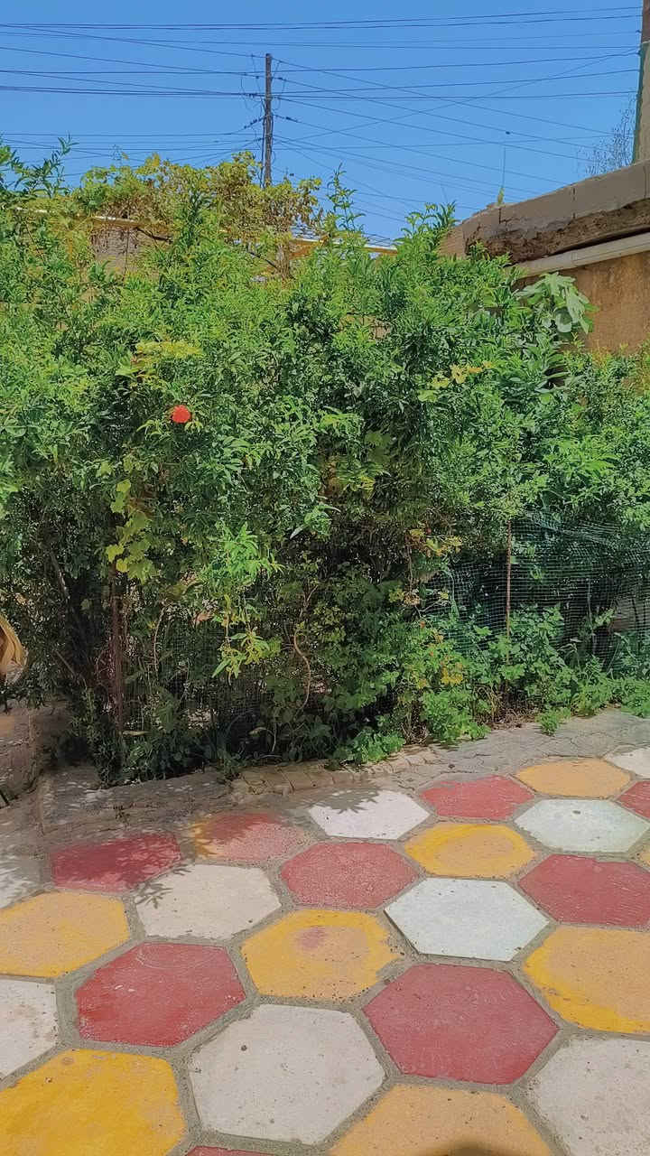 🏡 بيت للبيع في النهروان – منطقة الألفين 🏡
📍 الموقع: النهروان / منطقة الألفين
مقابل البانزين خانة، يبعد عن الشارع العام 60 متر فقط.
📐 المساحة: 200 متر/طابو صرف 
🛏 تفاصيل البيت:
غرفتين
مطبخ
استقبال
حمام داخلي
صحيات خارجية
✅ قريب من:
المدارس
الشارع العام
المحكمة
المستشفى
🌿 المنطقة هادئة وجيران طيبين، والبيت مناسب للعائلة والسكن المريح.
📞 للاستفسار: ***********
