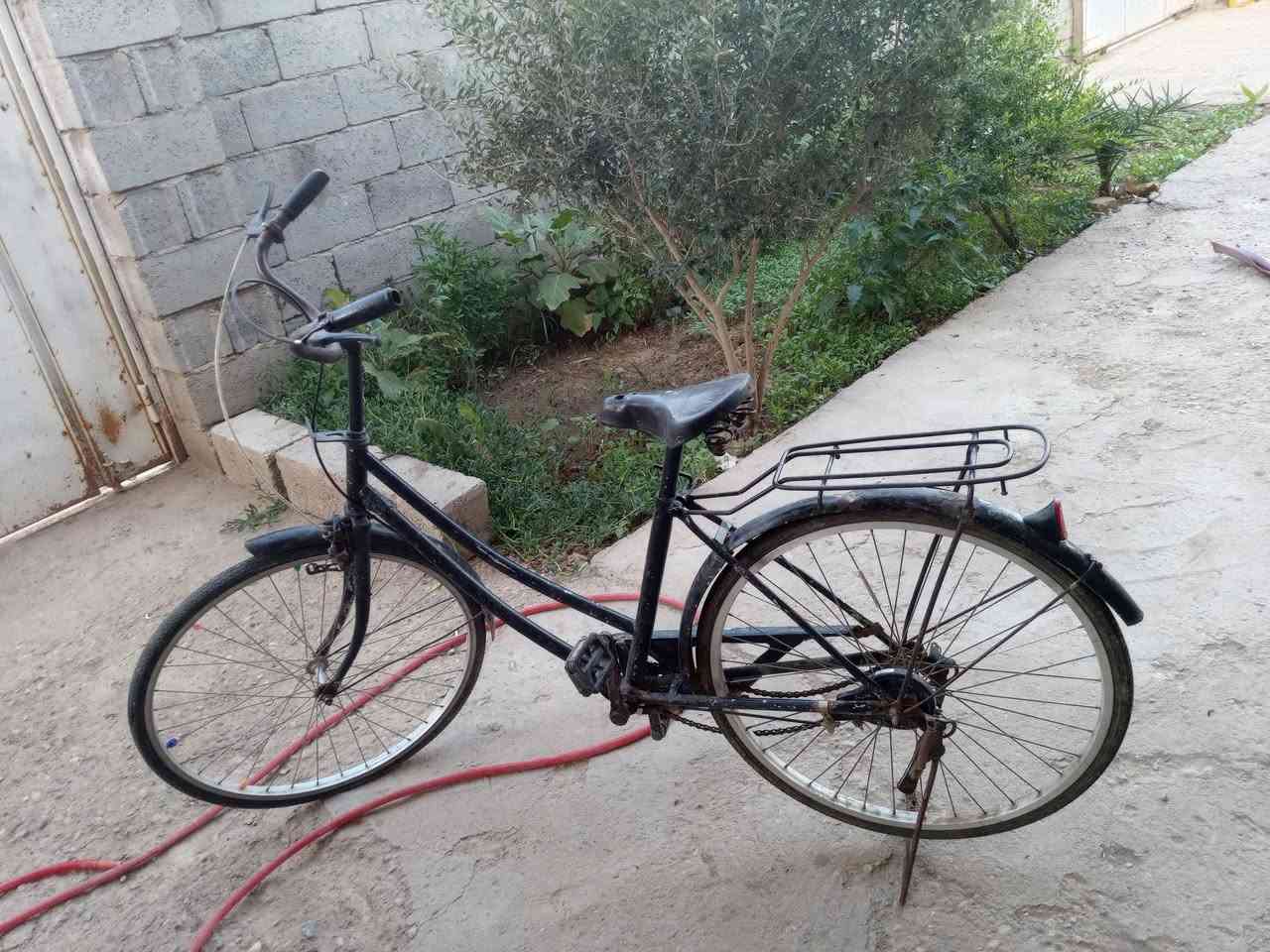 باسكل للبيع السعر 40وبي مجال


**إذا كنت صاحب هذا الإعلان وتريد حذفه لأي سبب، رجاءا أرسل رسالة إلى الدعم الفني**