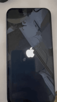 السلام عليكم
١٢ برو ماكس
يرست ابيعه فحم ع هذا وضعه
السعر 175 وبي مجال فحم 
واتساب ***********
