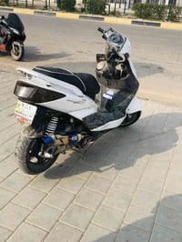 ًسلامً عليكمً شبابً سكنسً فحلً ً ختمً واحدً لدً بوشهً 58ونص سلفً رياضي...