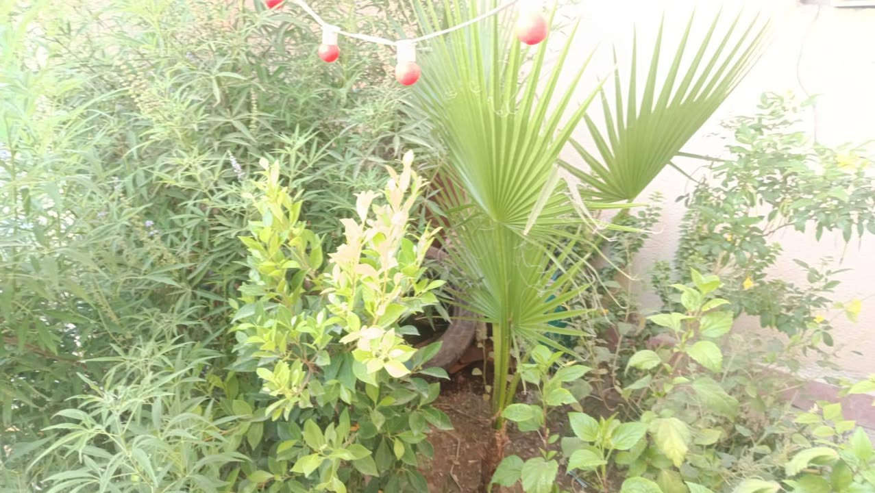 يا الله متاح للبيع مستعجل
بيت مساحه 200 متر طابو زراعي سند 25  إقرار محكمة 
مكان خلف جامعه العميد يبعد عن طريق النجف كربلاء 2 كم 
بيع مستعجل 80 وبي مجال 
***********
